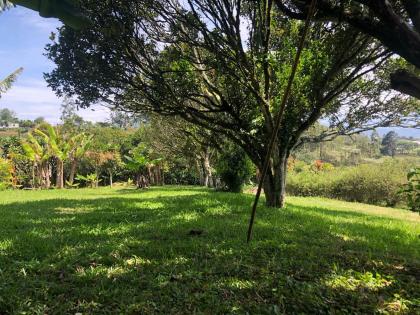 Lote Paraíso Birrisito 5351 m² en venta  info 6378-2611