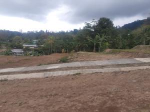 Lotes Turrialba Pavones desde 212 m²  hasta 266 m² en venta info 6378-2611