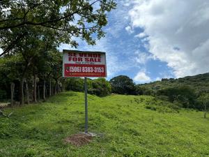 Terreno en Ciudad Colon: 17.819 m2